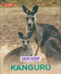Image of Daur hidup kanguru