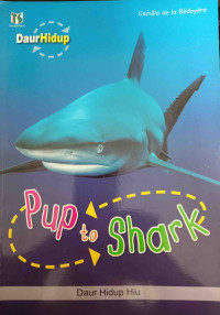 Pup to Shark = Daur Hidup Hiu