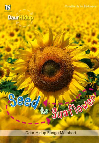 Seed to sunflower = daur hidup bunga matahari