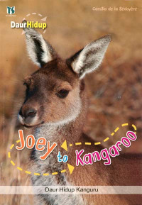 Image of Joey to kangaroo = daur hidup kanguru